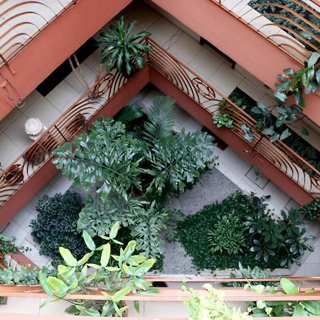 Hotel Martell San Pedro Sula Exteriör bild